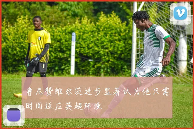 鲁尼赞维尔茨进步显著认为他只需时间适应英超环境
