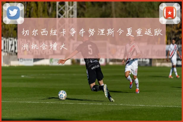 切尔西纽卡争夺努涅斯今夏重返欧洲机会增大