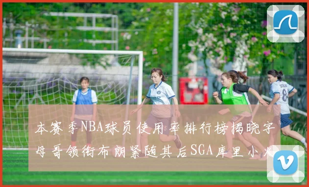 本赛季NBA球员使用率排行榜揭晓字母哥领衔布朗紧随其后SGA库里小火车紧追不舍