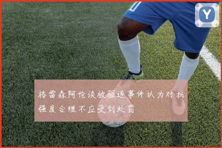 格雷森阿伦谈被驱逐事件认为对抗强度合理不应受到处罚